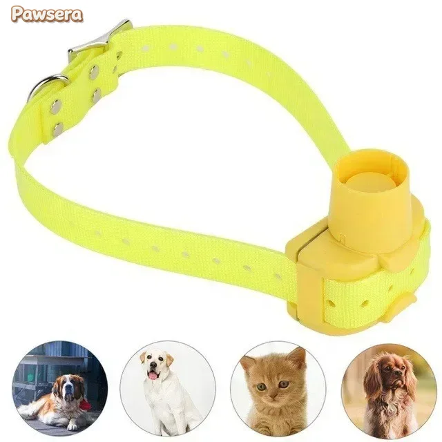 Outdoor Hunting Dog Collar - Collier de dressage pour chien Pawsera,
