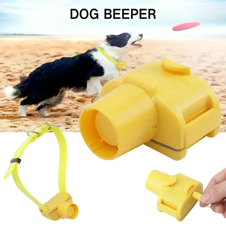 Outdoor Hunting Dog Collar - Colliers de bip pour chien de