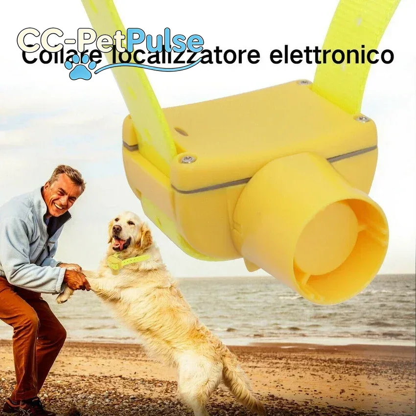 Colliers de dressage pour chie - Outdoor Hunting Dog Collar avis et prix