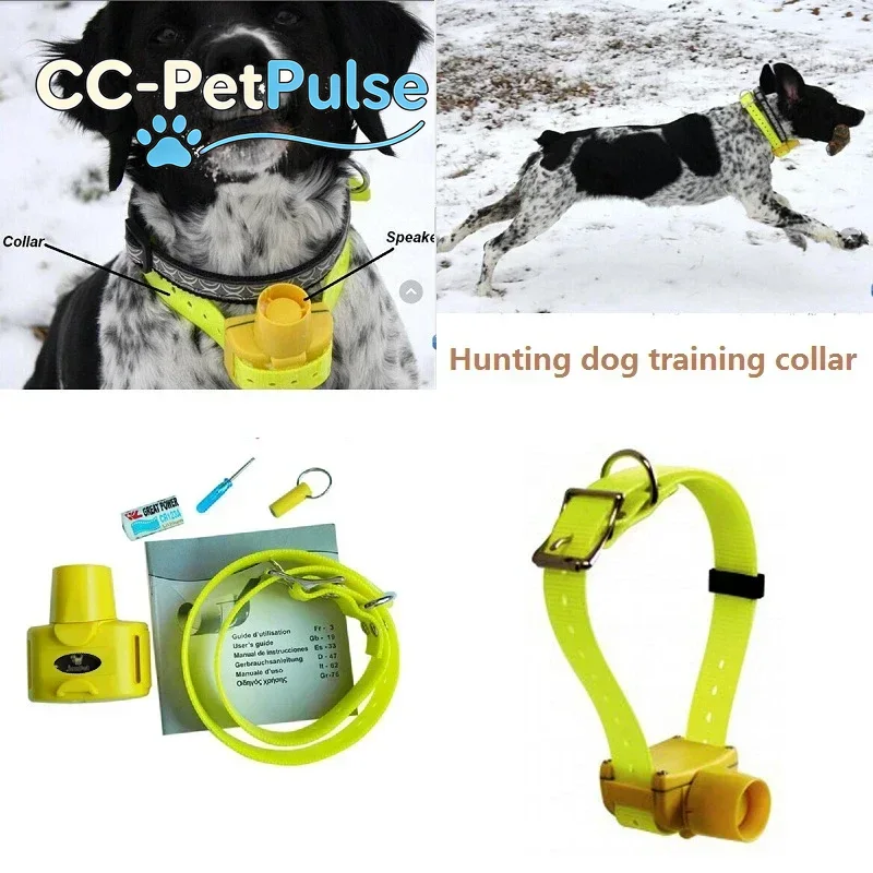 Colliers de dressage pour chie - Outdoor Hunting Dog Collar avis et prix