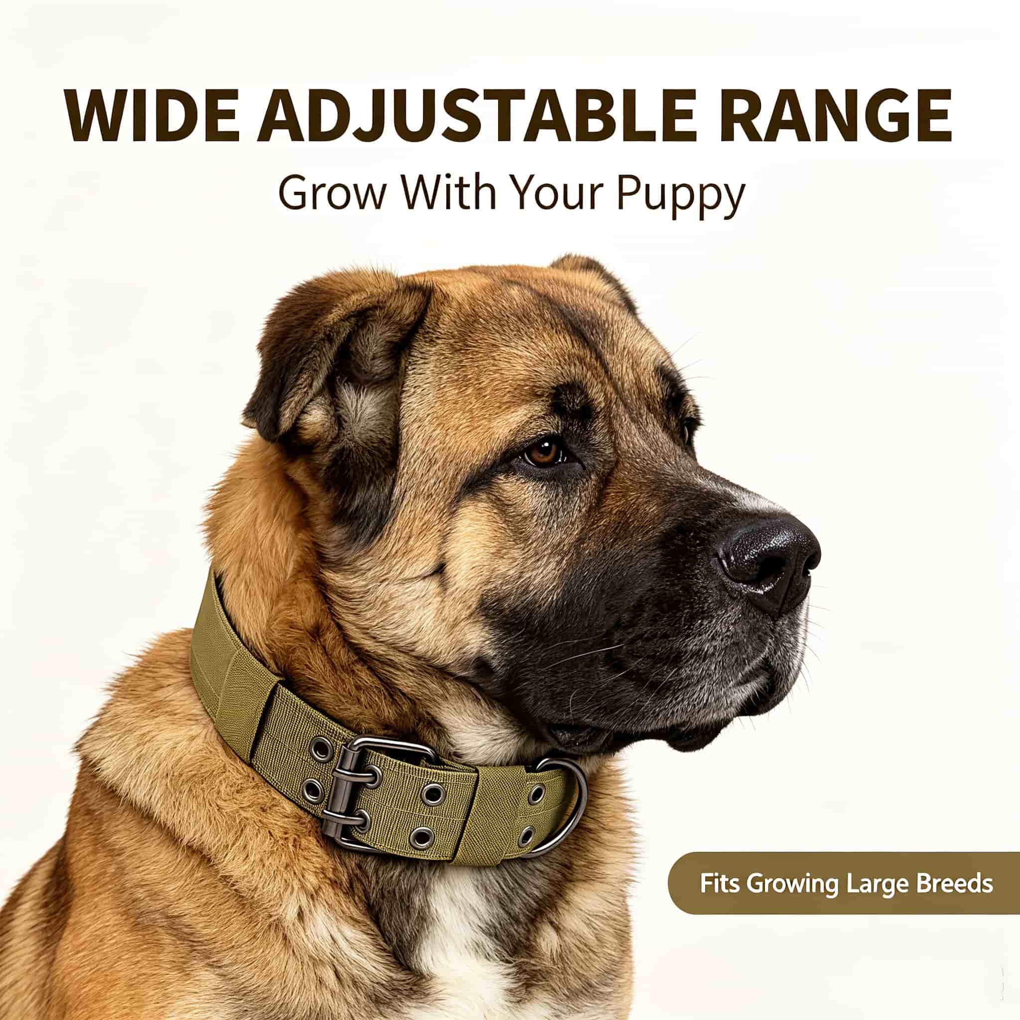 Collier tactique camouflage po - Outdoor Hunting Dog Collar avis et prix