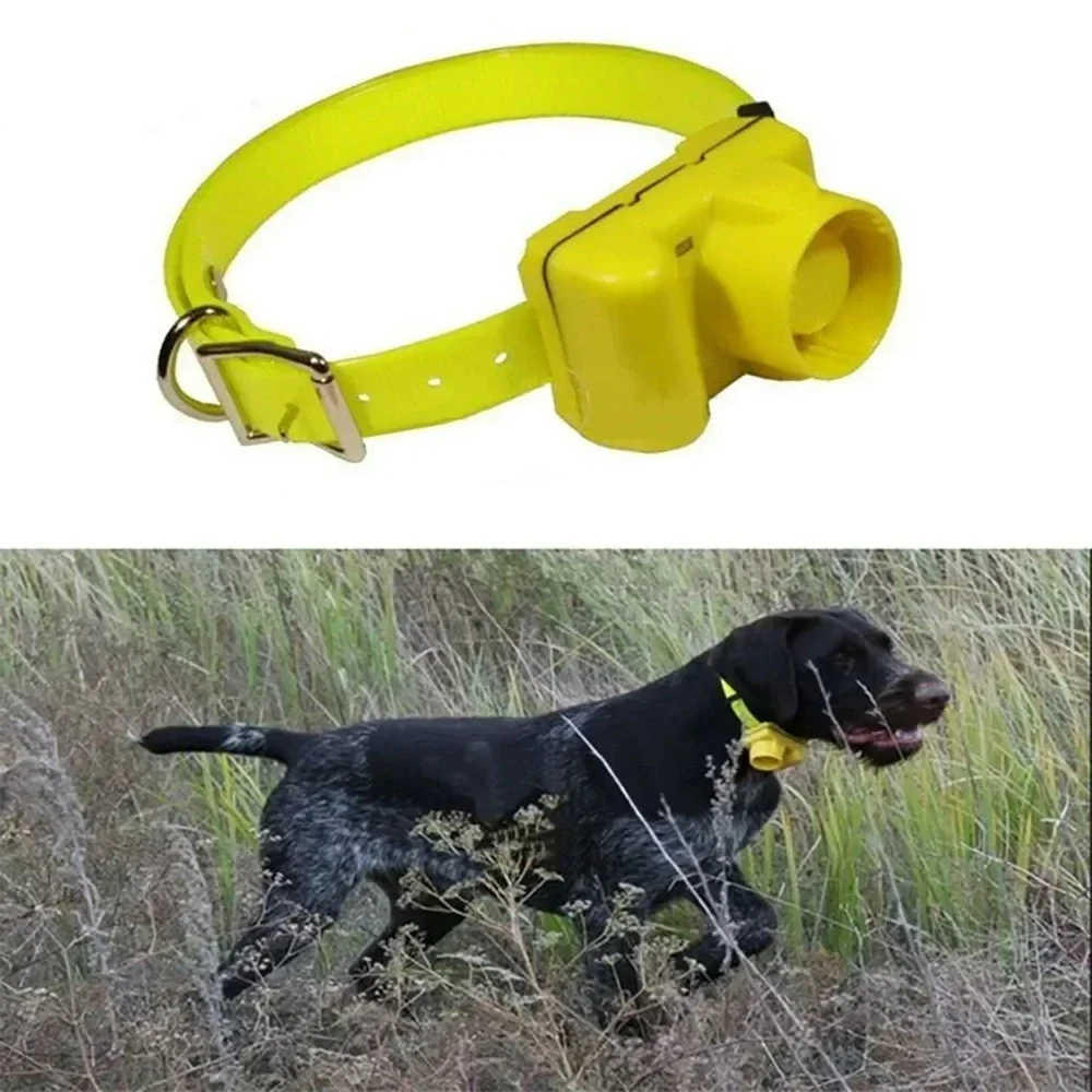 Colliers de dressage pour chie - Outdoor Hunting Dog Collar avis et prix