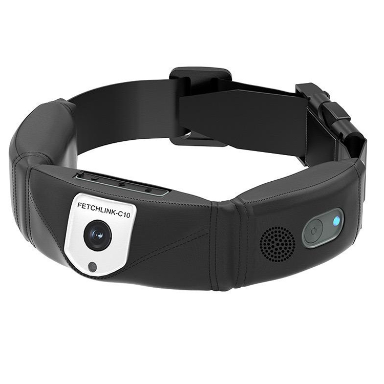 Collier GPS haute précision po - Outdoor Hunting Dog Collar avis et prix
