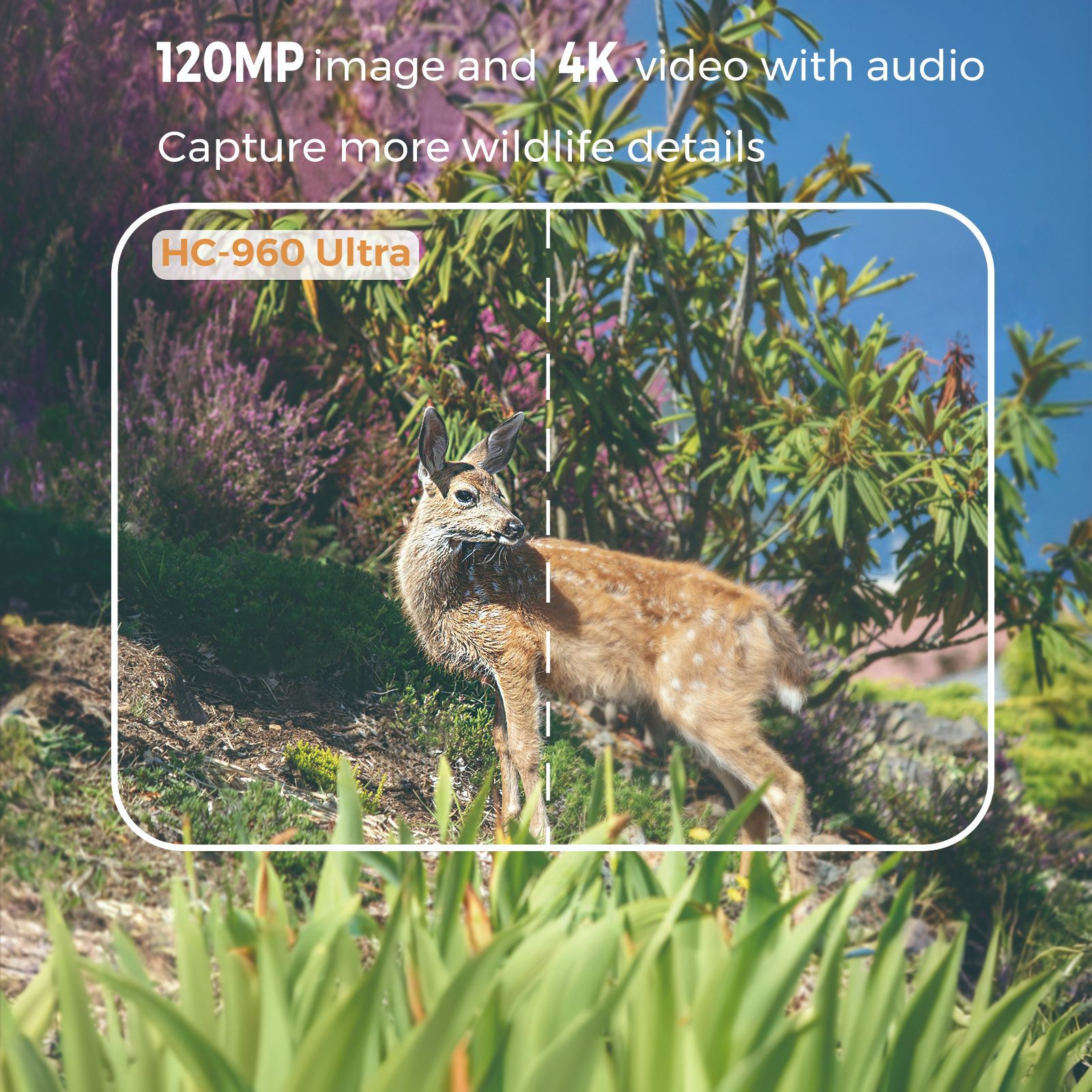 Vidéo extérieur 4K 120MP Photo - Outdoor Hunting Videos avis et prix
