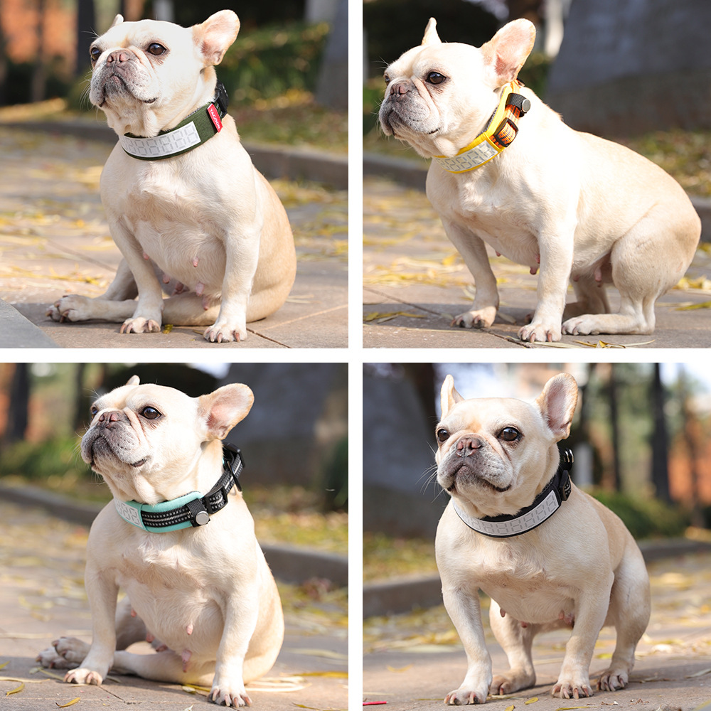 Collier réfléchissant pour chi - Outdoor Hunting Dog Collar avis et prix