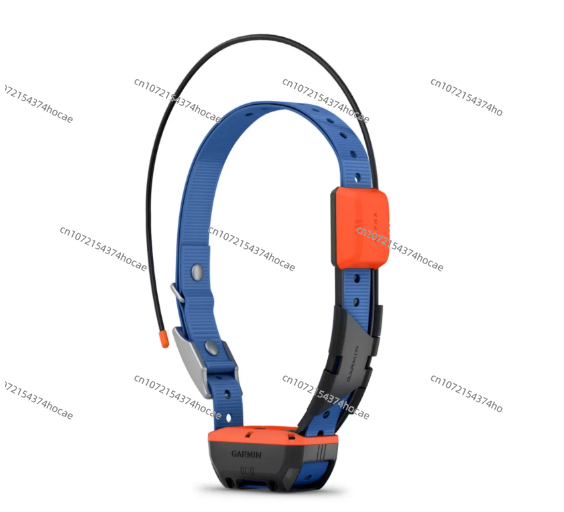 Équipement de localisation pou - Outdoor Hunting Dog Collar avis et prix
