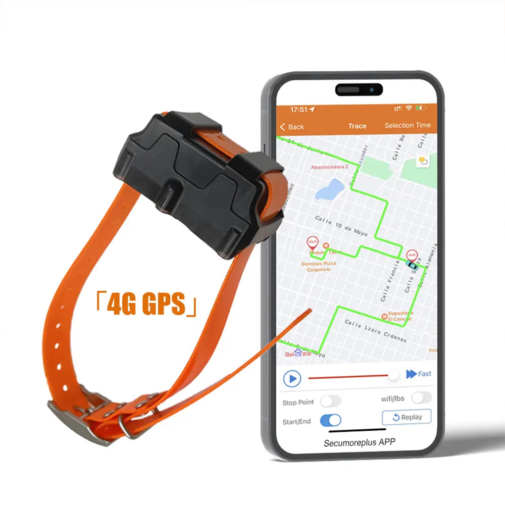 CY09A – traceur GPS Portable p - Outdoor Hunting Dog Collar avis et prix