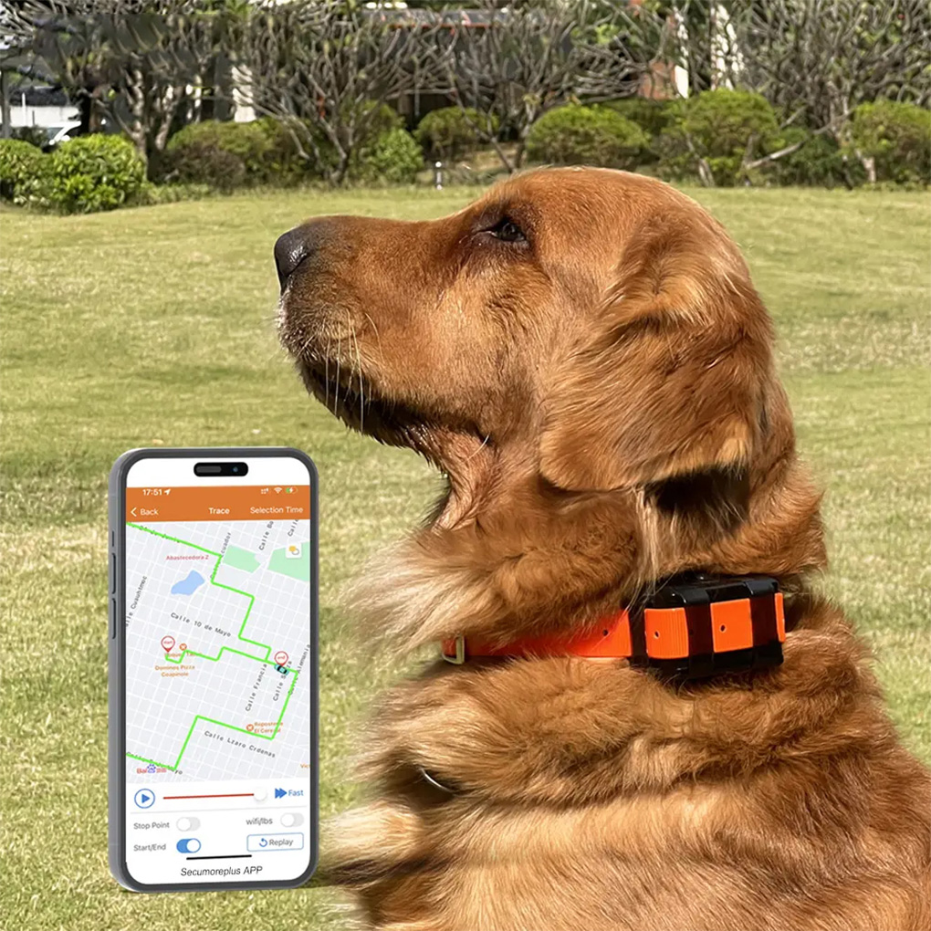 CY09A – traceur GPS Portable p - Outdoor Hunting Dog Collar avis et prix