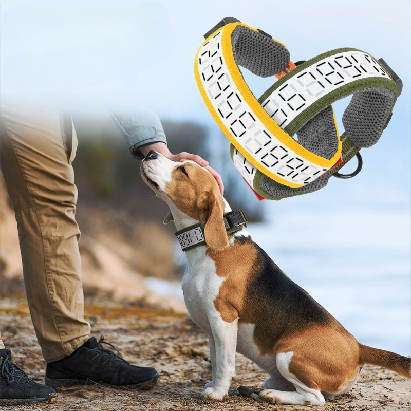 Collier réfléchissant pour chi - Outdoor Hunting Dog Collar avis et prix