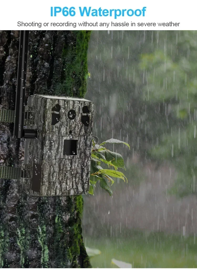 Caméra de chasse solaire, visu - Outdoor Hunting Videos avis et prix