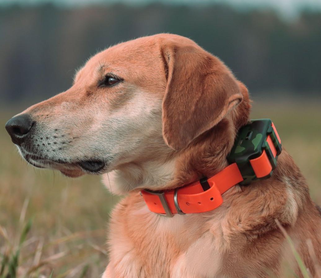 ICAR IK122M 2000 mah collier G - Outdoor Hunting Dog Collar avis et prix