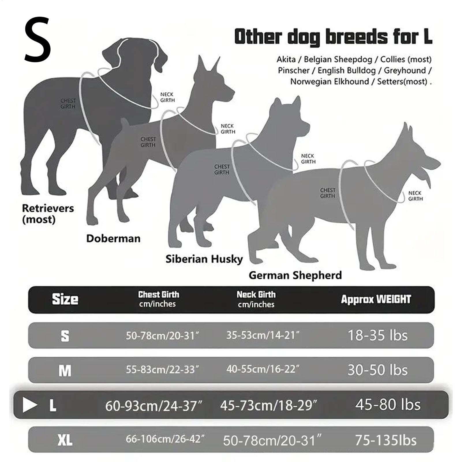 Harnais pour chien avec boucle - Outdoor Hunting Dog Collar avis et prix