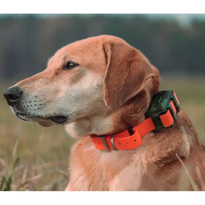Traceur GPS 4G pour collier IC - Outdoor Hunting Dog Collar avis et prix