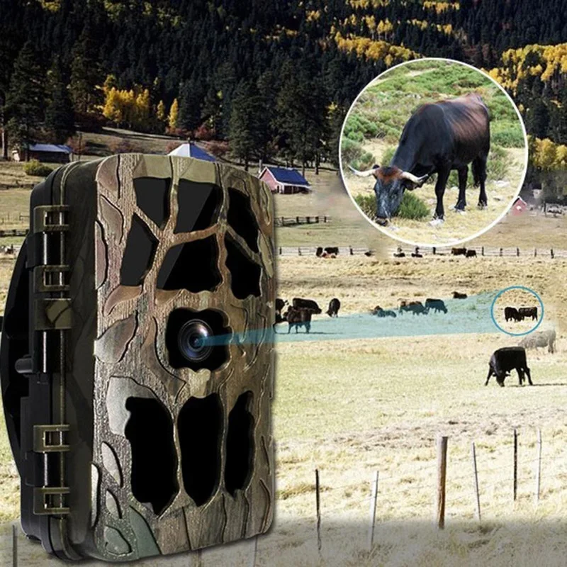 H982 IP66 étanche 4K extérieur - Outdoor Hunting Videos avis et prix