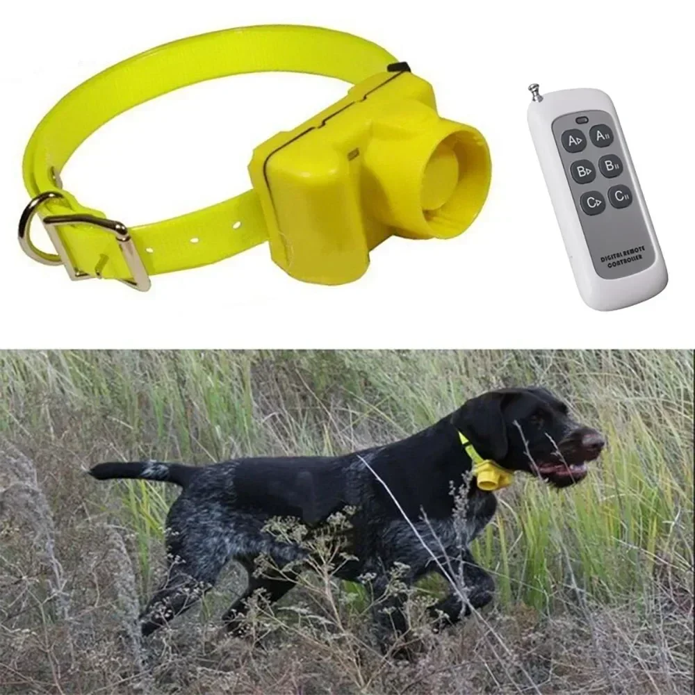 Collier de bip de chien de cha - Outdoor Hunting Dog Collar avis et prix
