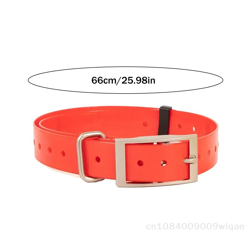 Collier de sécurité pour anima - Outdoor Hunting Dog Collar avis et prix