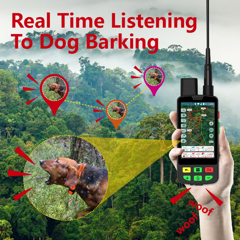 Collier GPS 4G pour chien avec - Outdoor Hunting Dog Collar avis et prix