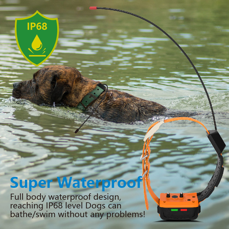 Collier GPS 4G pour chien avec - Outdoor Hunting Dog Collar avis et prix