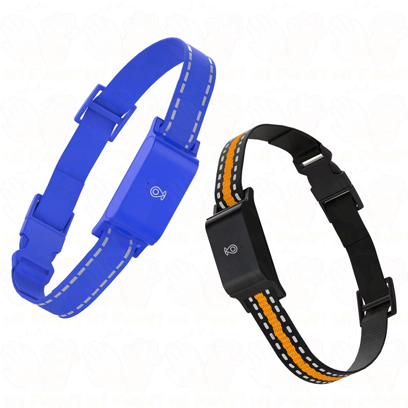 Traceur GPS pour chien, dispos - Outdoor Hunting Dog Collar avis et prix