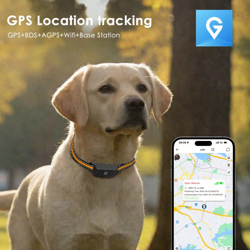 Traceur GPS pour chien, dispos - Outdoor Hunting Dog Collar avis et prix