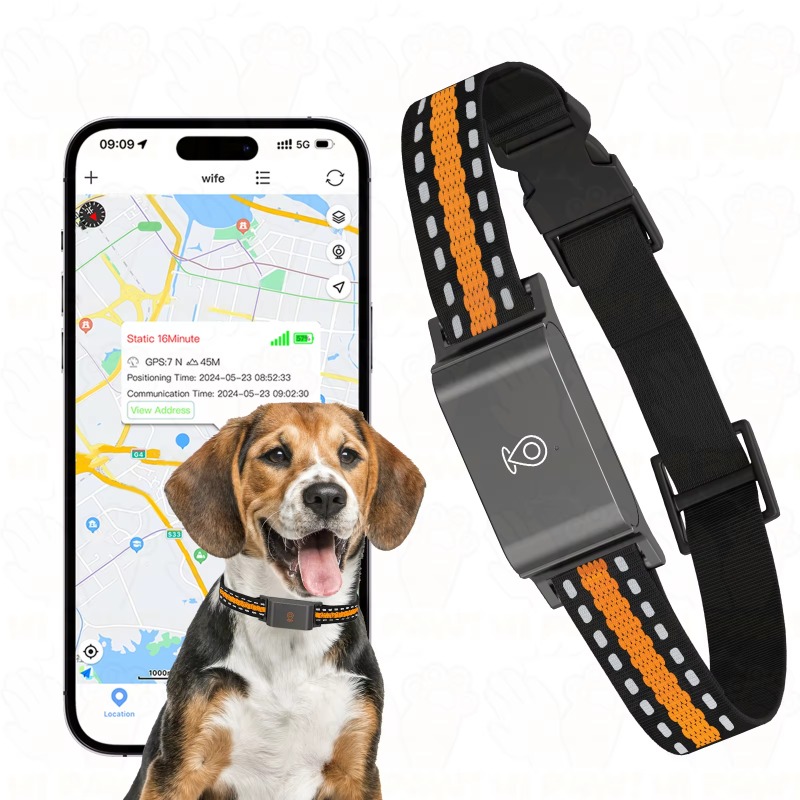 Traceur GPS pour chien, dispos - Outdoor Hunting Dog Collar avis et prix